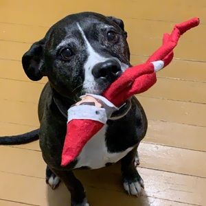 Meet your Posher, Catherine